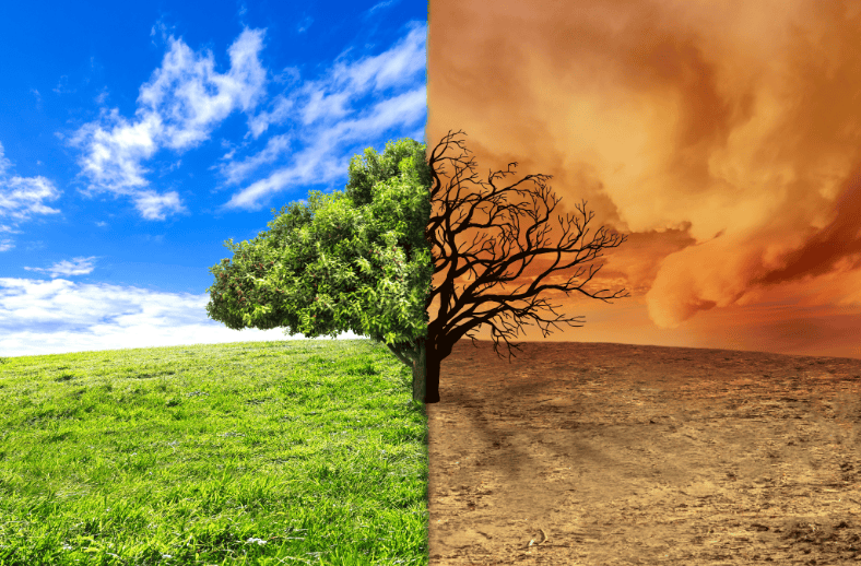 A duty of care to future generations? The case of Minister for the Environment v Sharma [2022] FCAFC 35