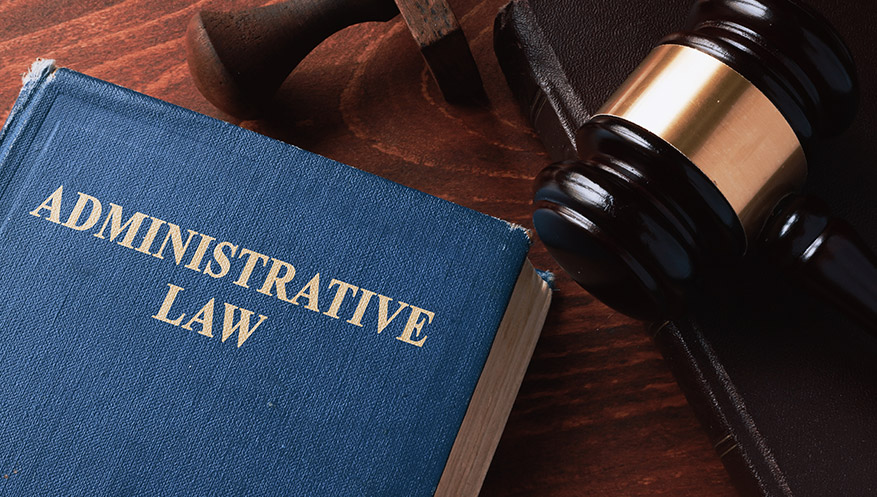 governance and administrative law